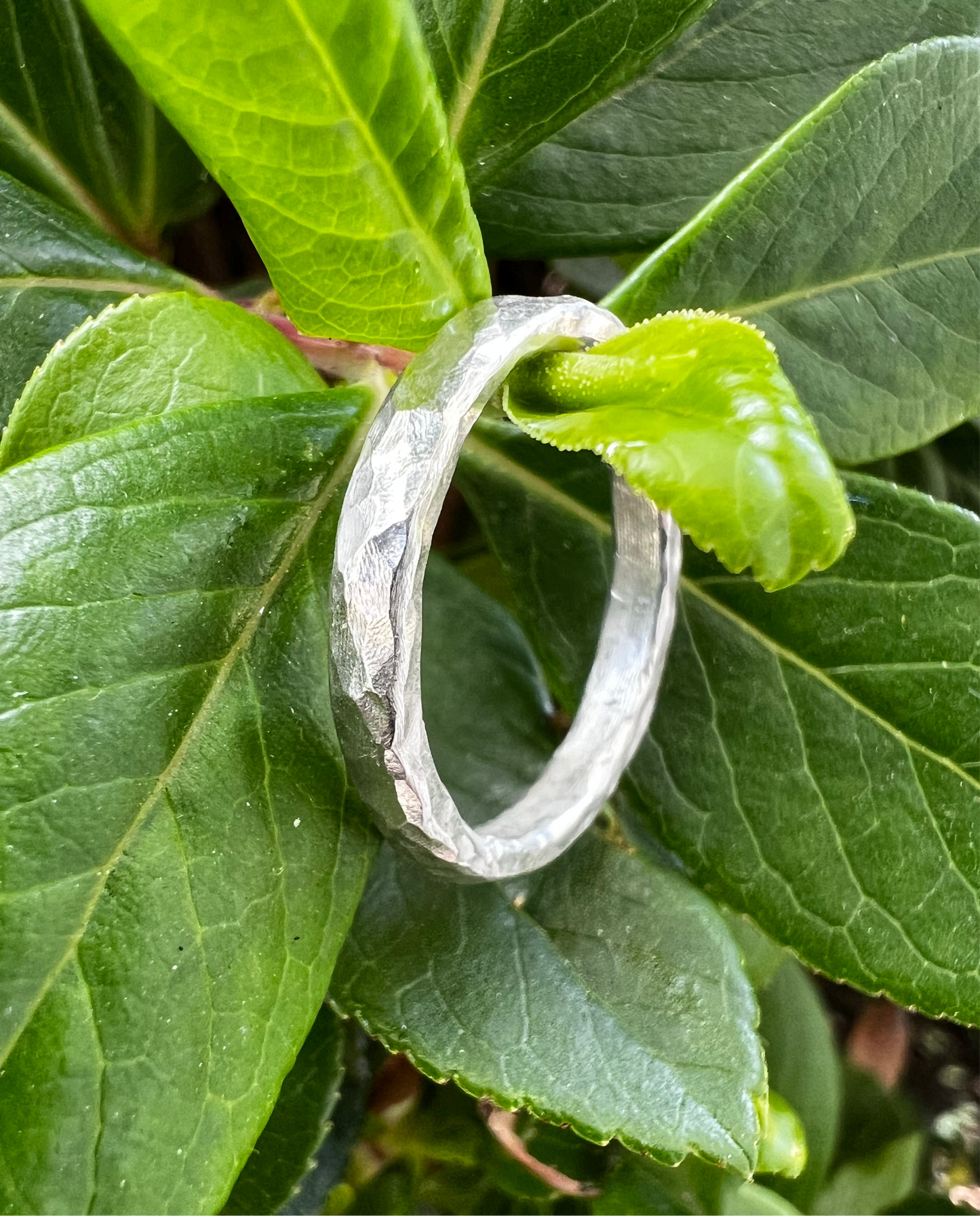 Silver Hammered Ring