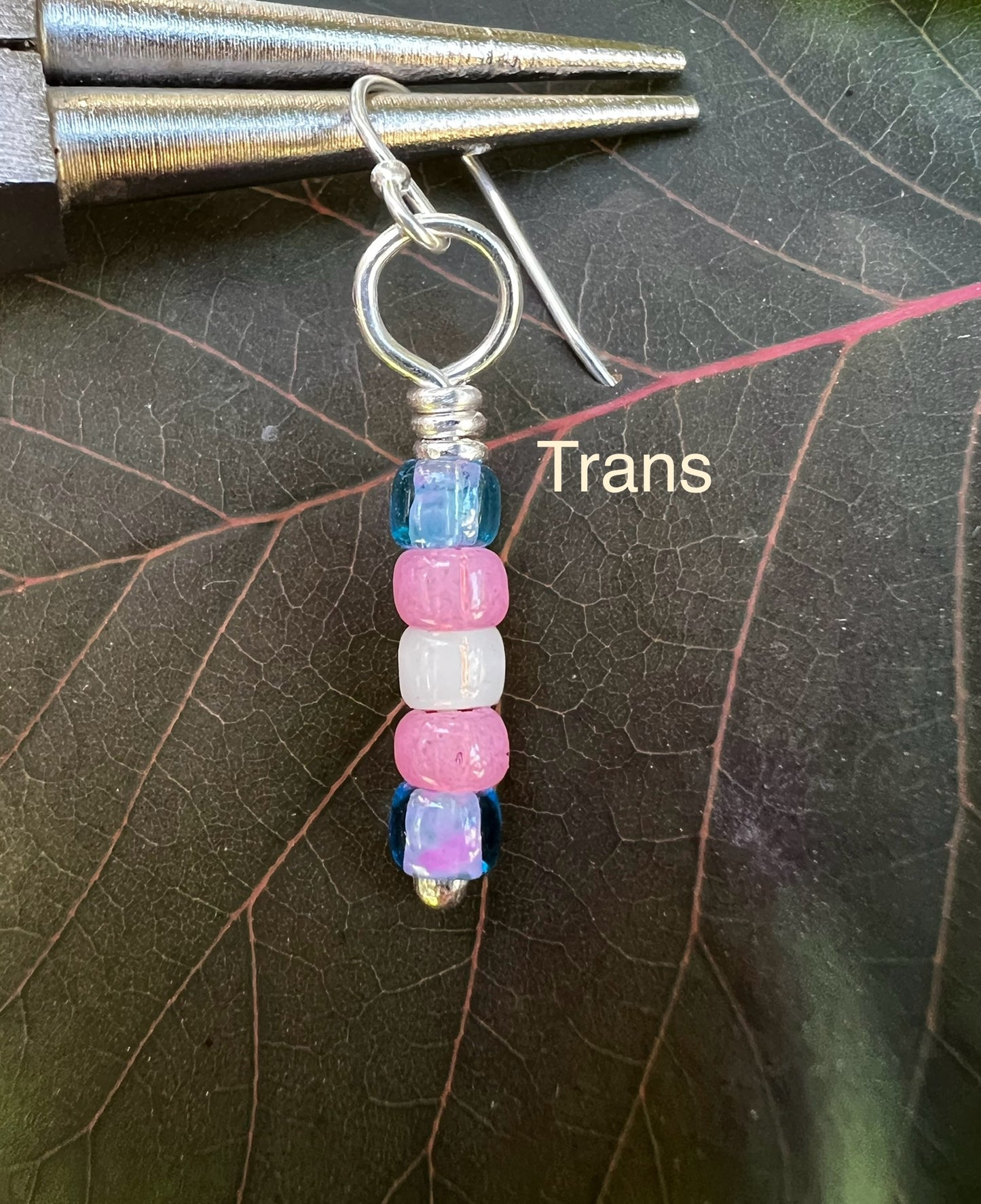 Pride Color Earrings