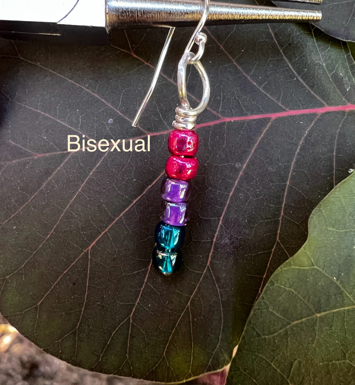 Pride Color Earrings