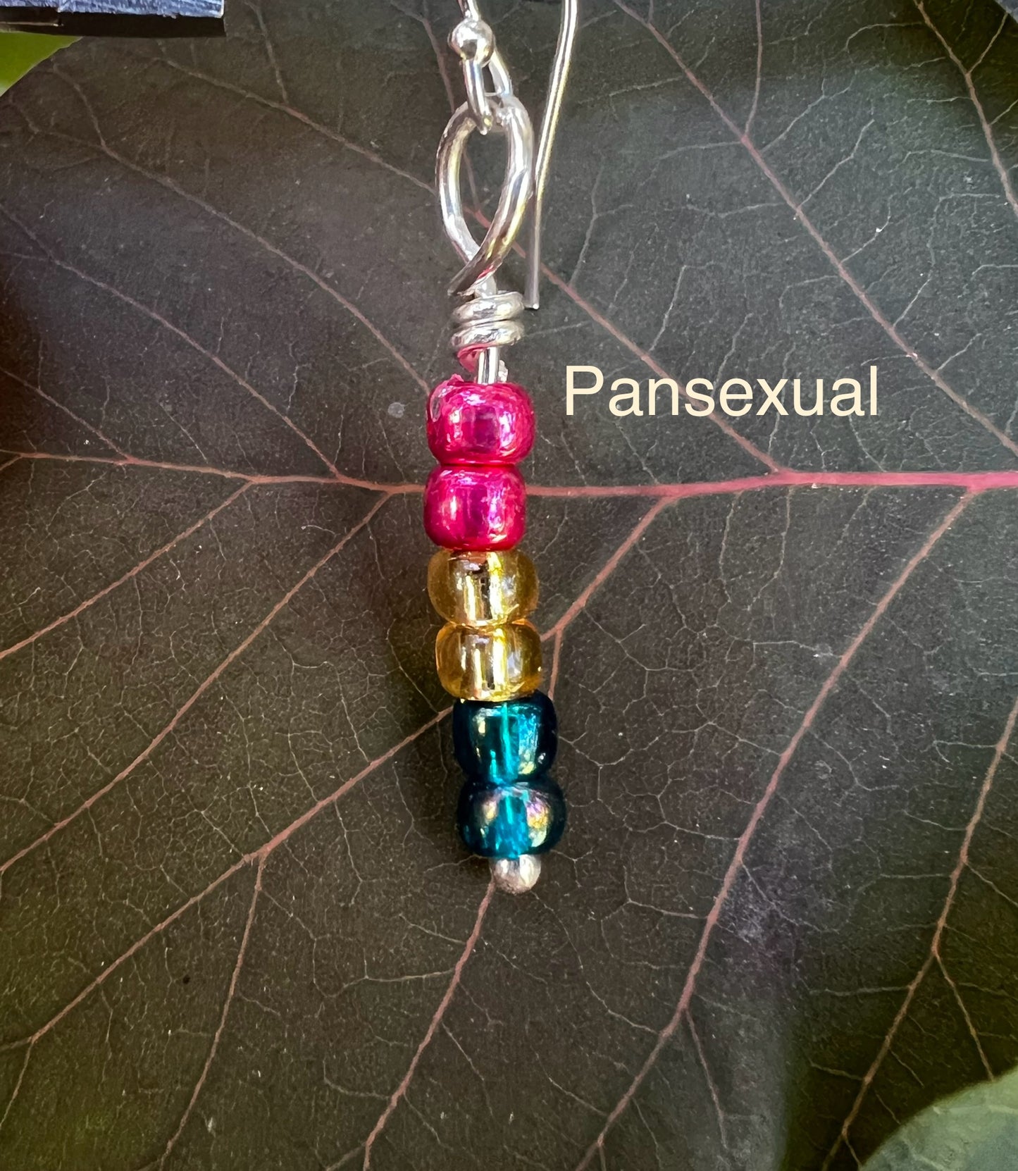 Pride Color Earrings