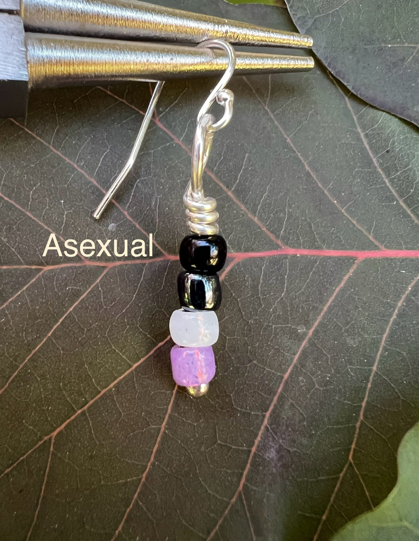 Pride Color Earrings