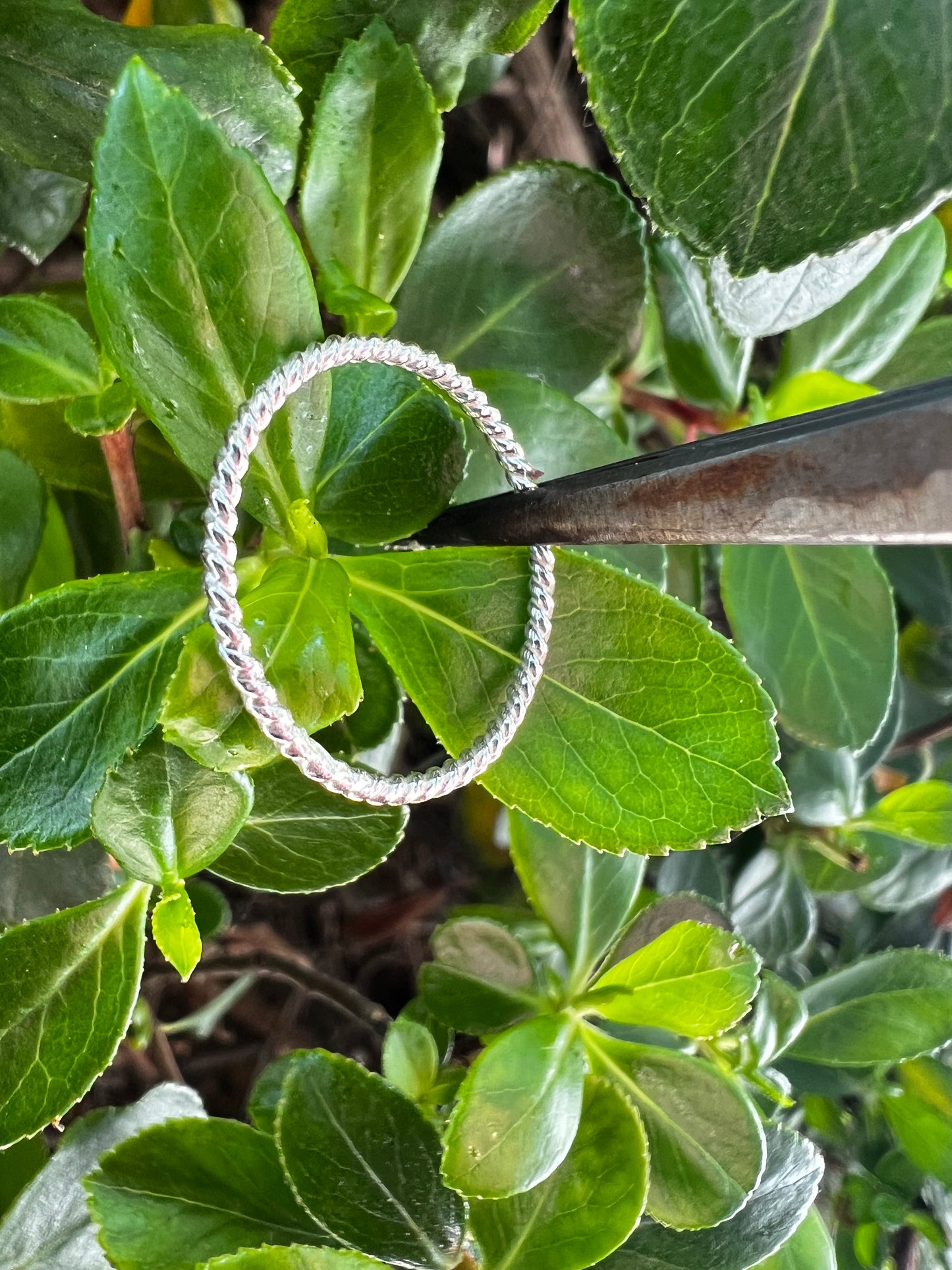 Silver Thin Twist Silver Ring